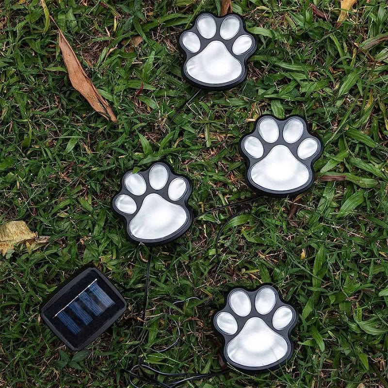 Jardioui Lumières Solaires Pattes Multicolores