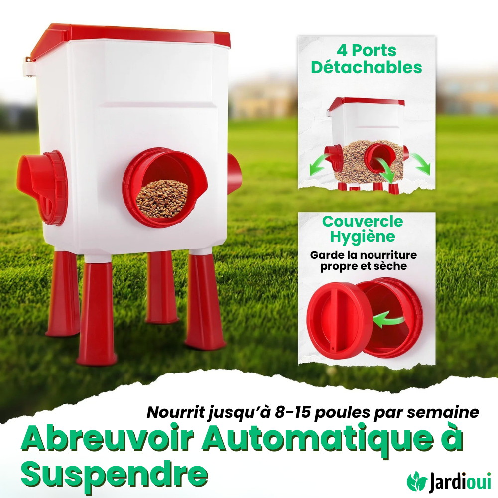 Mangeoire et Abreuvoir Poule Automatique