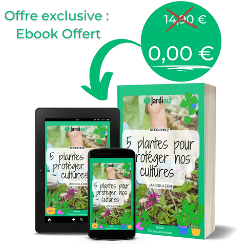 ebook Jardioui