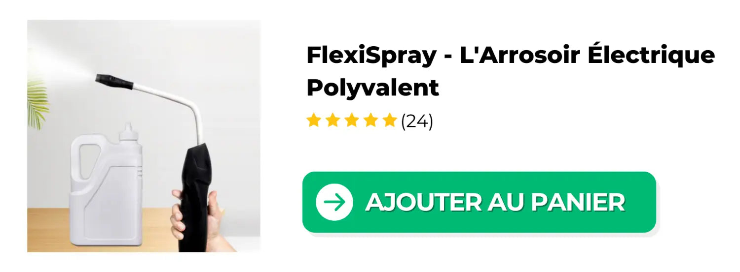 FlexiSpray_-_L_Arrosoir_Electrique_Polyvalent