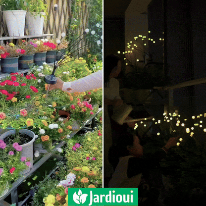Lampes LED Lucioles à Énergie Solaire - Offre Spéciale