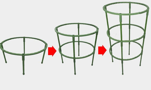 Tuteur Plante Grimpante Circulaire Harmonieux