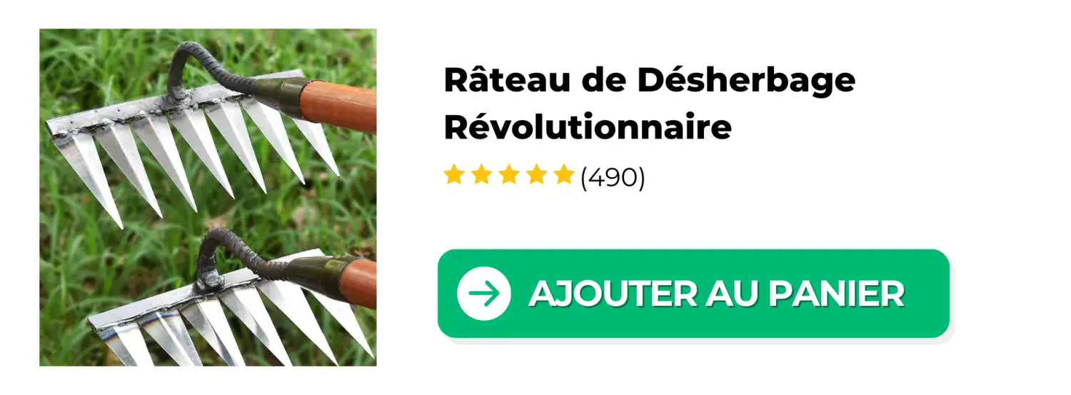 Rateau_de_Desherbage_Revolutionnaire