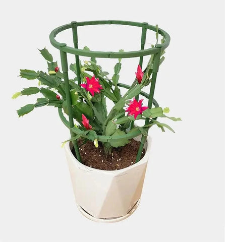 Tuteur Plante Grimpante Circulaire Harmonieux
