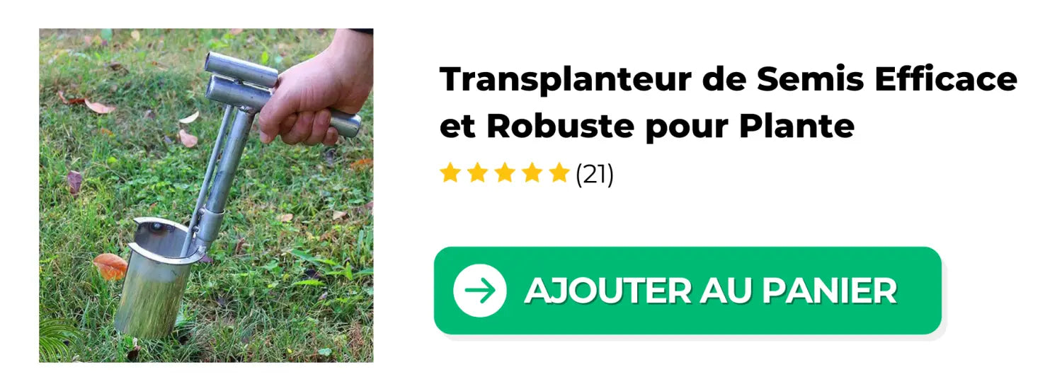 Transplanteur_de_Semis_Efficace_et_Robuste_pour_Plante