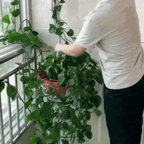 Tuteur pour Plante Grimpante Robuste ( + 50m de Ficelle Offert)