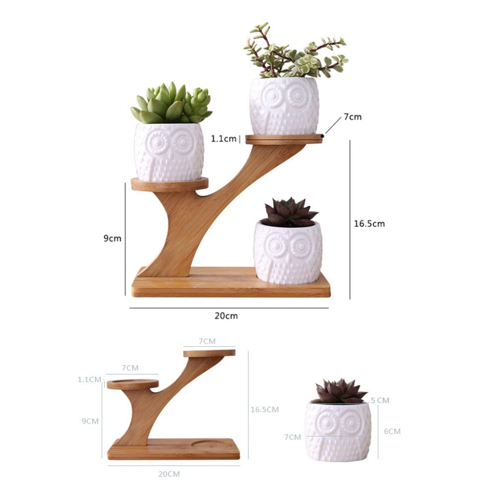 Porte Plante d’intérieur Design en Bambou