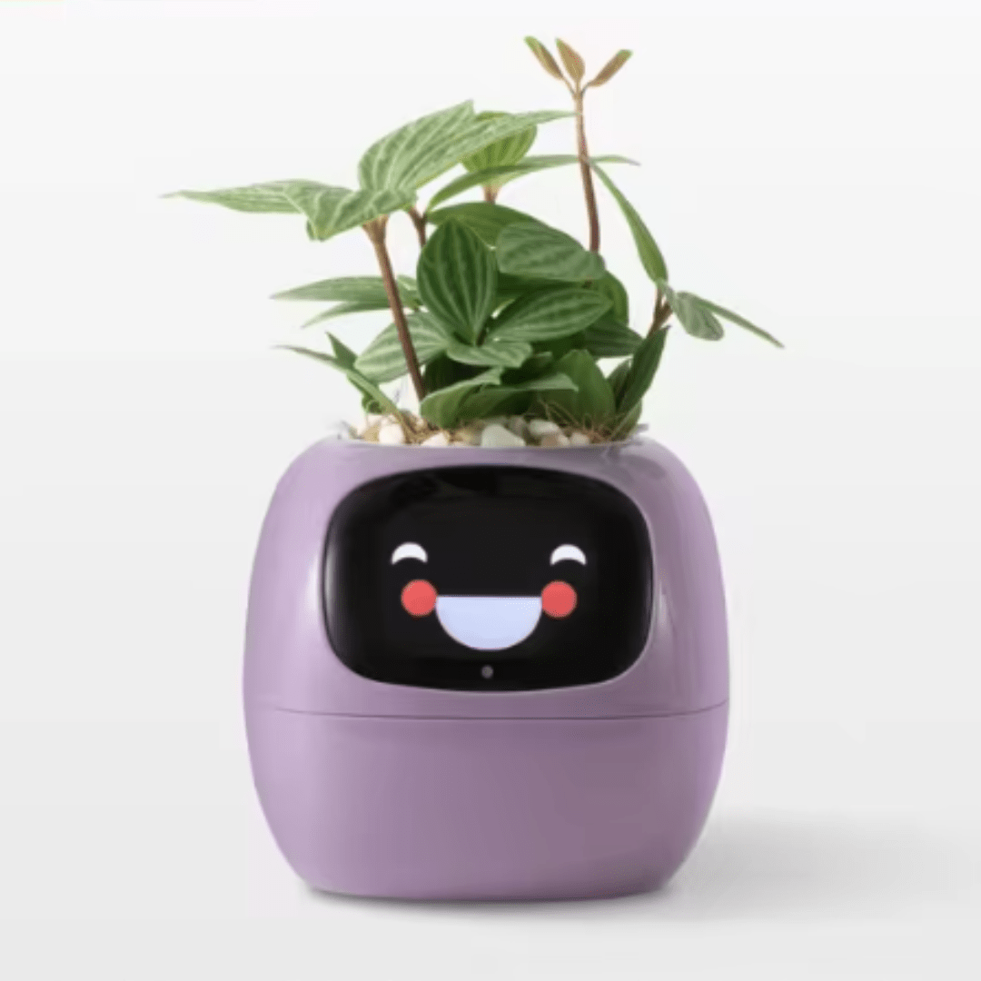 Jardioui 1 Pot  (89.90 €/ pcs) / Violet Pot Jardinière Intelligente Interactive