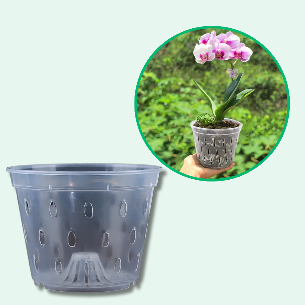 Jardioui 10 Pots (5.00 €/ pcs) Pots de Culture Transparents Aérés Premium