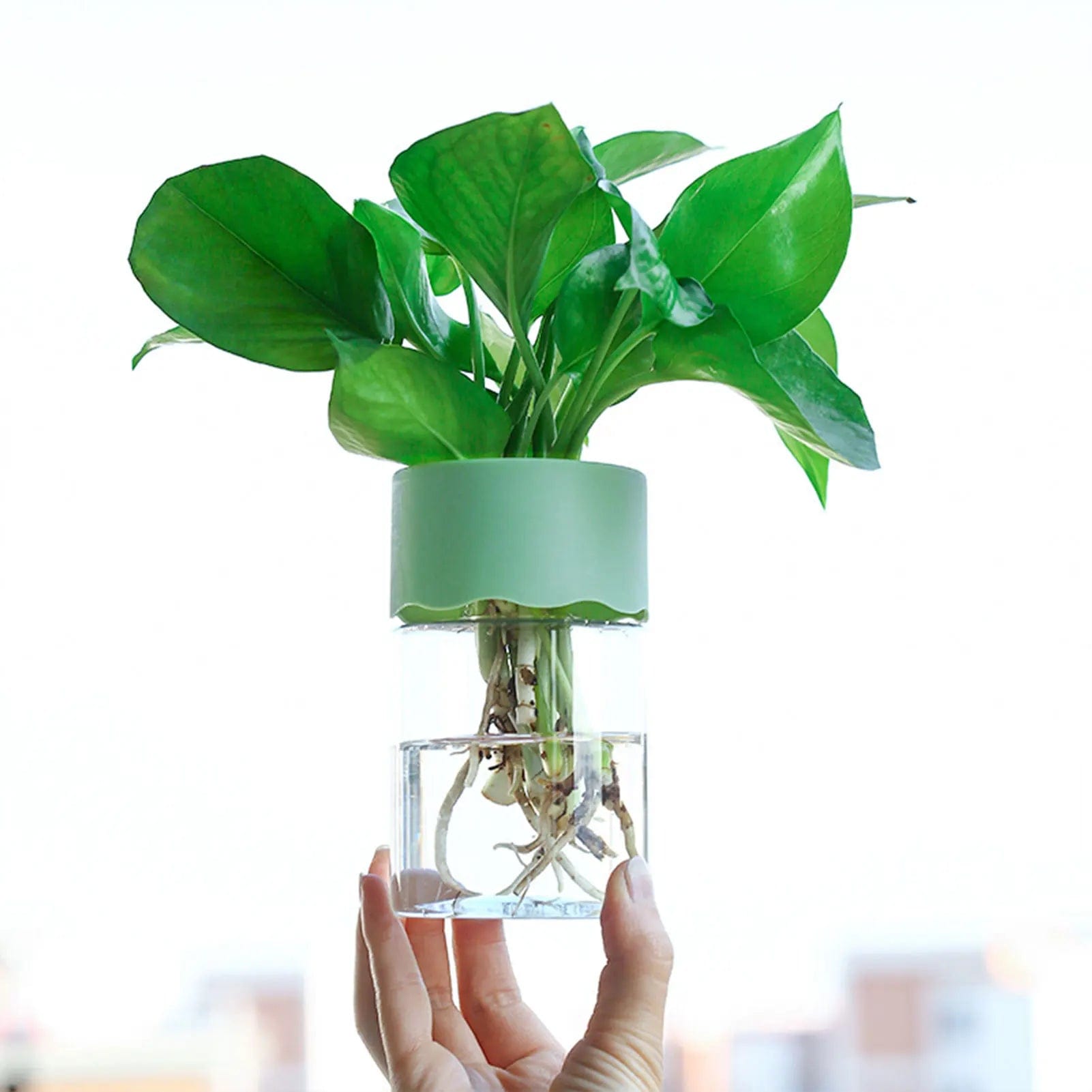 Jardioui 2 Vases / Vert Vase en plastique hydroponique Minimalistes