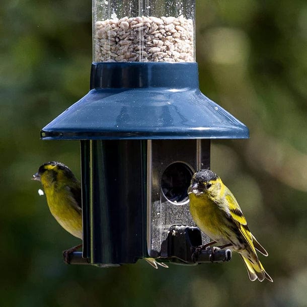 Jardioui Distributeur de Nourriture Ultime pour Oiseaux