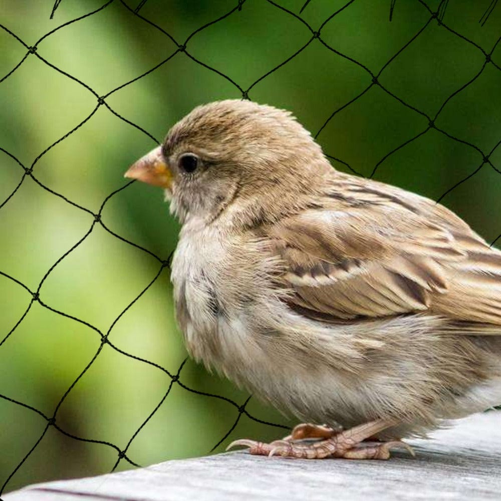 Jardioui Filet de protection anti-oiseaux Ultra Résistant