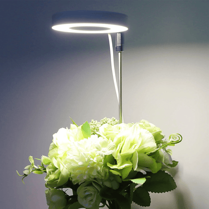 Jardioui Lampe de Croissance LED d'Intérieur (2+1 Offert)