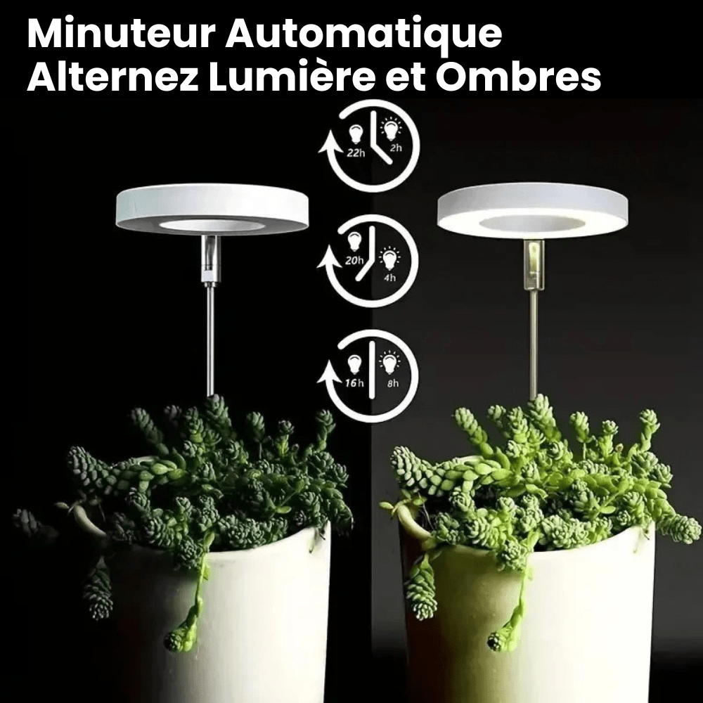 Jardioui Lampe de Croissance LED d'Intérieur (2+1 Offert)