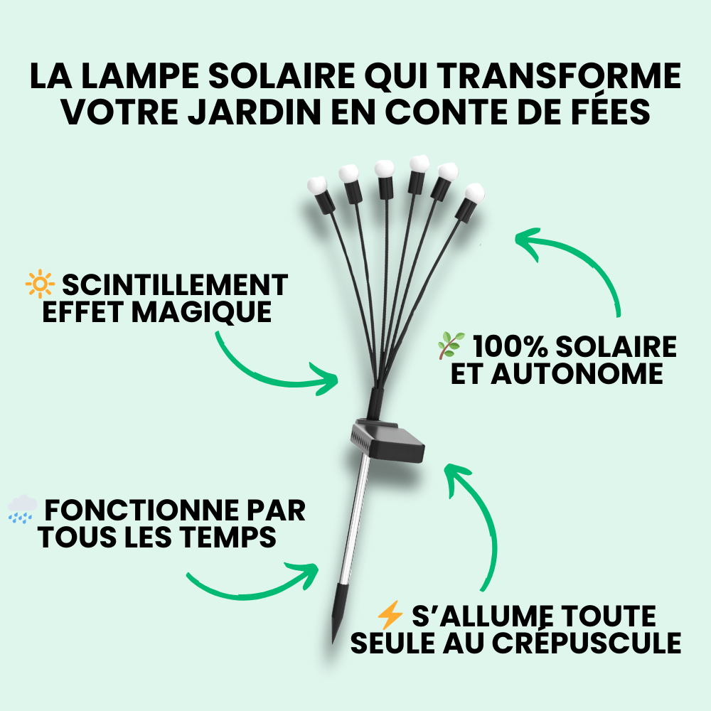 Jardioui Lampes LED Lucioles à Énergie Solaire - Offre Spéciale