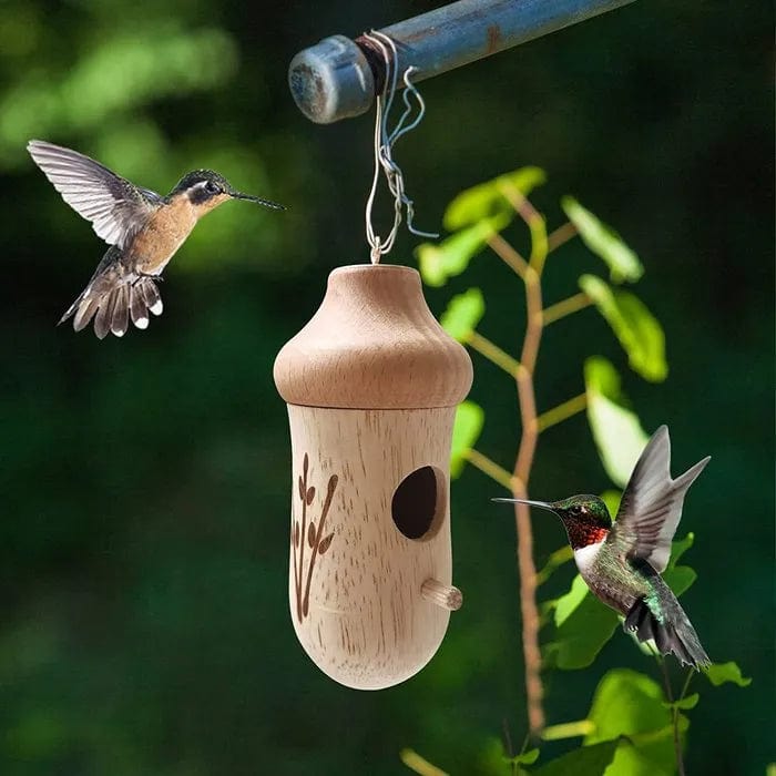 Jardioui Maison de Colibri en Bois