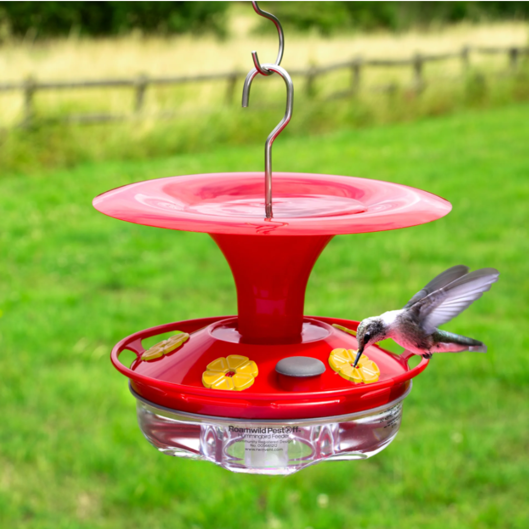 Jardioui Mangeoire Colibri Multi-Port Transparente