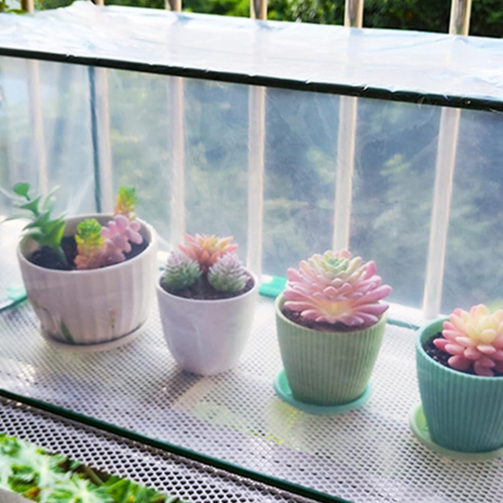 Jardioui Mini Serre Protectrice Compacte Transparente