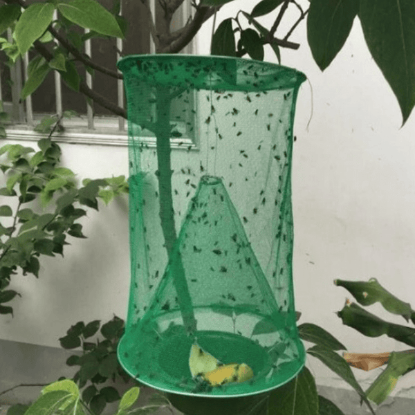 Pack De 3 Pièges à Mouches Intérieur/Extérieur - Transparent Avec Recharge - Écologique