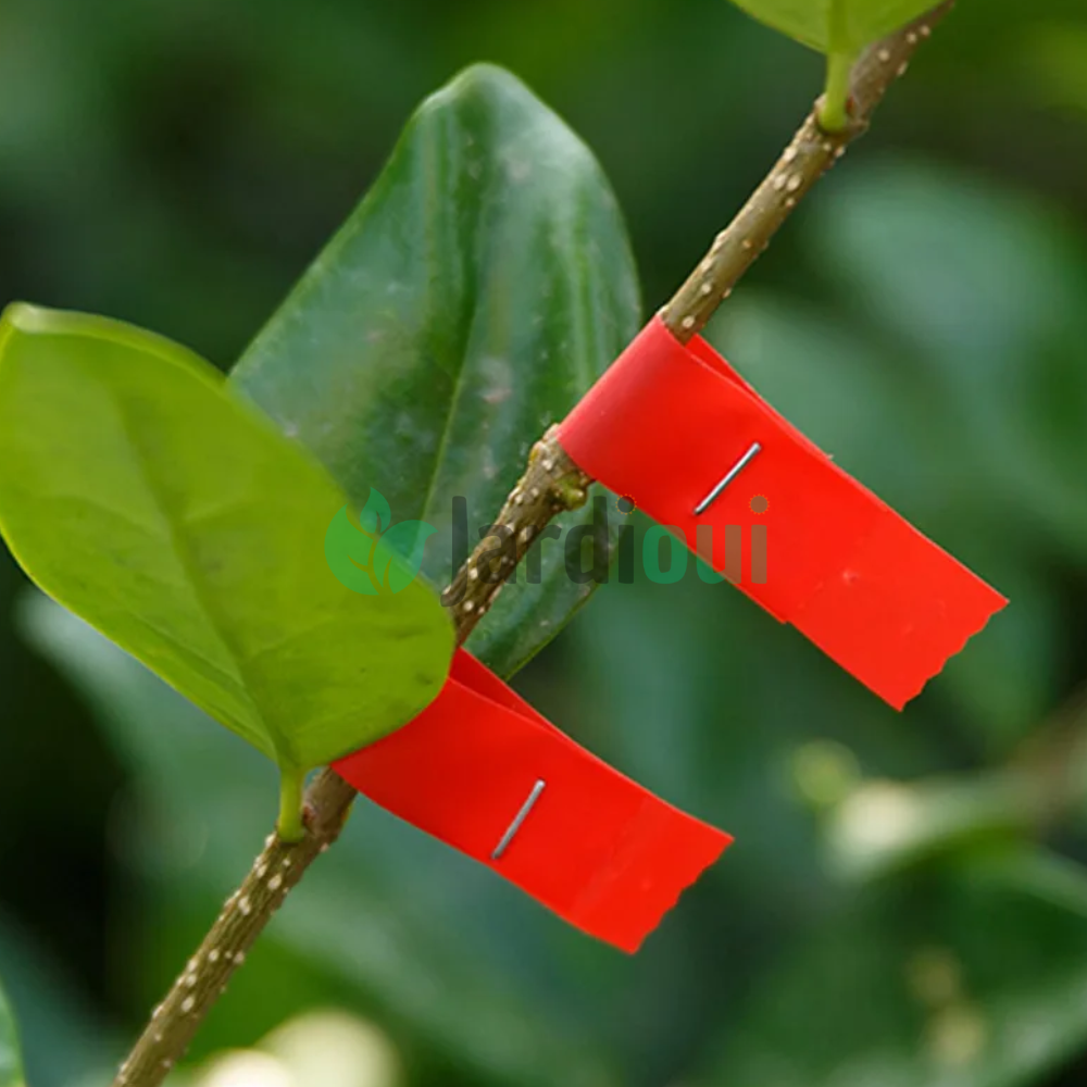 Jardioui Pince à palisser - Attache branche Révolutionnaire