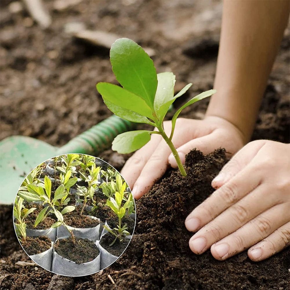 Jardioui Sachets de Plantation Biodégradables Pratiques