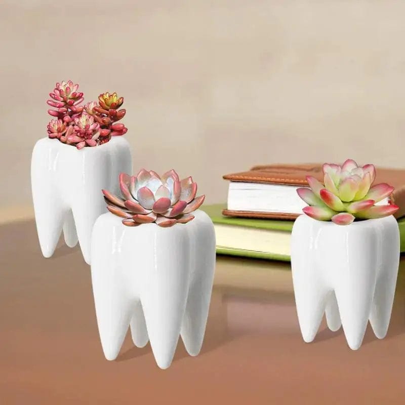 Jardioui Vase Dentaire Polyvalent en Céramique
