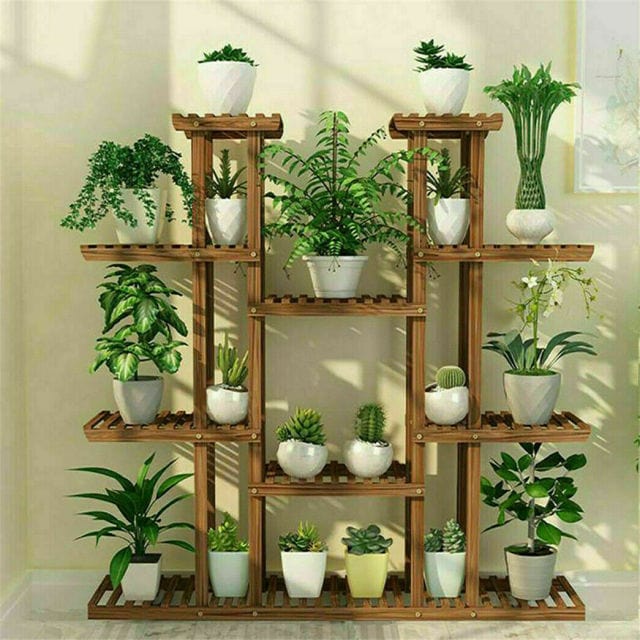 Plante Sans Entretien Plante En Bois Brésilien Porte-bonheur - Décoration Hydroponique Avec Plateau Bois Porte-bonheur Décoration Plante Sans Entretien Plante En Bois Brésilien Porte-bonheur - Décoration Hydroponique Avec Plateau Bois Porte-bonheur Décoration